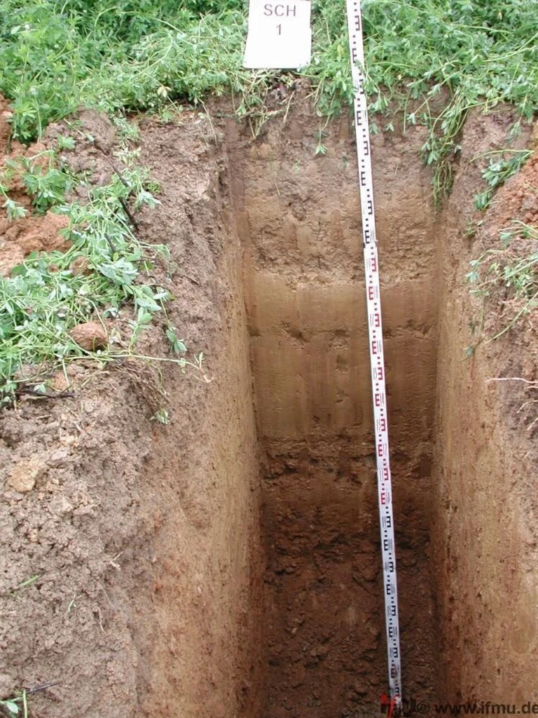 Illustrative image of Exploratory test pit in Buffalo